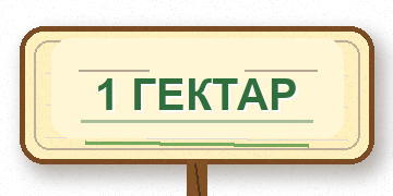 1 гектар - информация о проекте